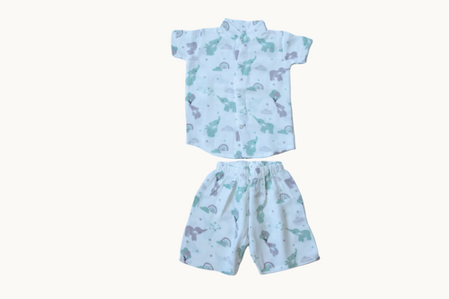 Aloe Vera Baby Shirt & Shorts Set